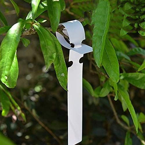1000Pcs Plant Tags Plastic Tree Tags Wrap Around (1000 Count)