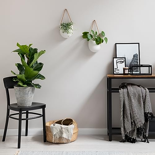 Wall Planters (2 Count)