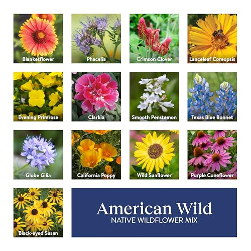 American Wild Wildflower Seeds