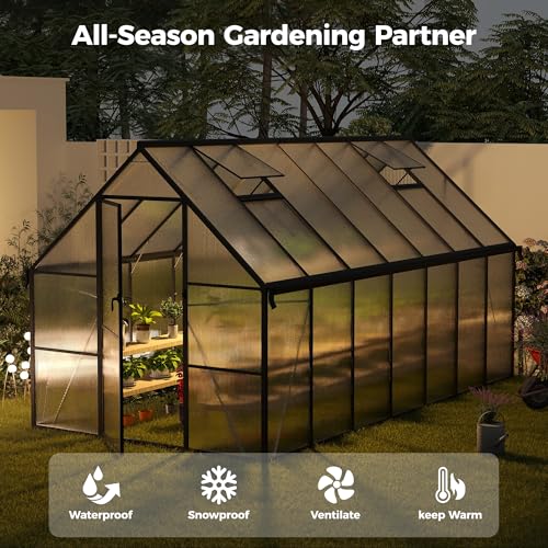 8x14 FT Greenhouse for Outdoors