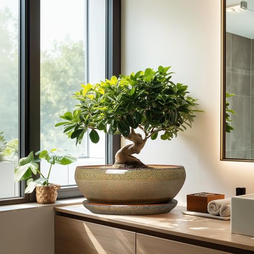 Ceramic Bonsai Pots (12 Inch / Speckled-brown)
