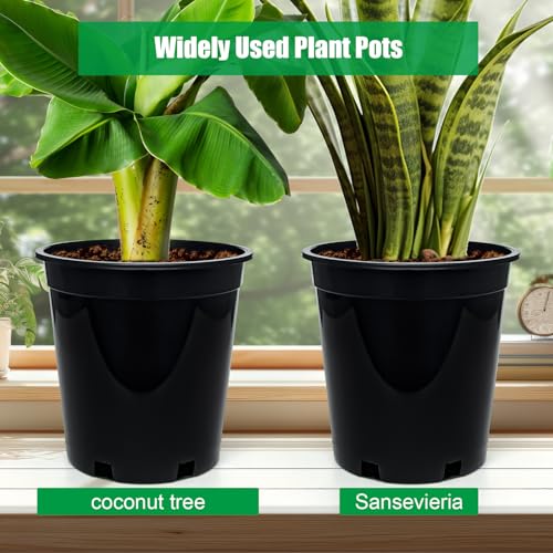 1.5 Gallon Plastic Nursery Pots