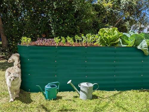 Galvanized Raised Garden Beds Outdoor