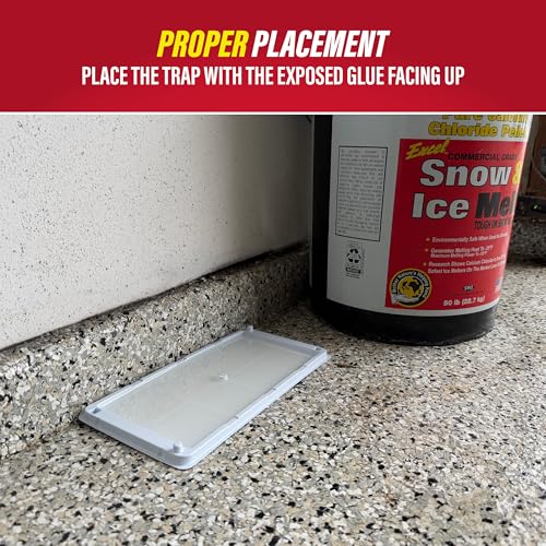 Freeze Resistant Glue Traps 6PK Mouse Traps Indoor for Home (6 Count)