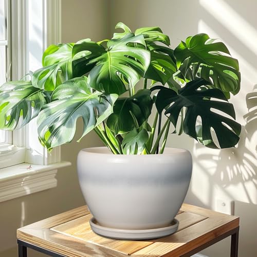 10 Inch Ceramic Planter Pot