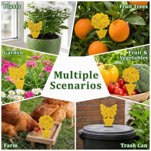120 Pack Fungus Gnat Traps for House Indoor (120 Count)