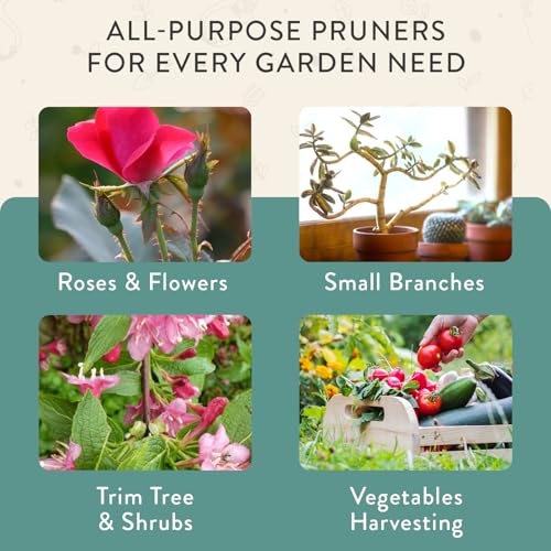Bypass Hand Pruners
