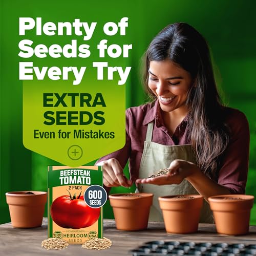 Beefsteak Tomato Seeds (2 Count)