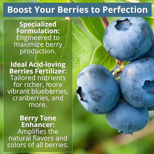 8-4-8 Acidic Fertilizer for Azaleas, Camellias (Camelia), Hydrangeas, Blueberries, Gardenias, Magnolia Trees, Evergreens, and Rhododendrons - Ideal Iron-Rich Plant Food (2 QUARTS) (64 Ounce)