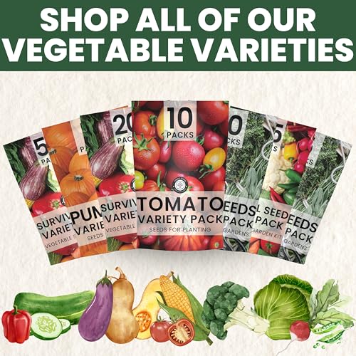 Herb Seeds 10 Individual Packs