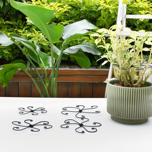 Black Metal Monstera Plant Support Hook (5 Count)