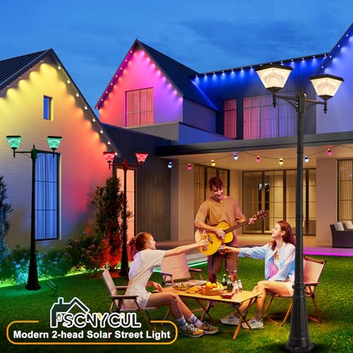 2 Head Solar Lamp Post Light with Dusk to Dawn Sensor (XL-2-S)