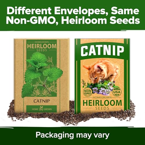 Catnip Seeds 2