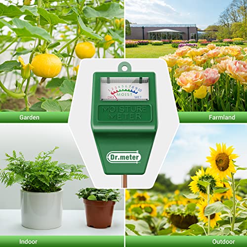 Soil Moisture Meter for Plants