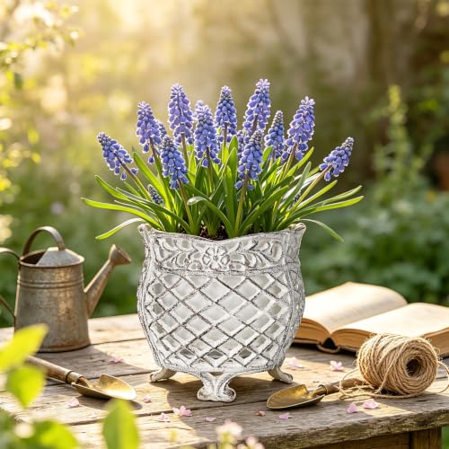 Vintage Cast Iron Urn Planter with Non (Antique White - U Shaped)