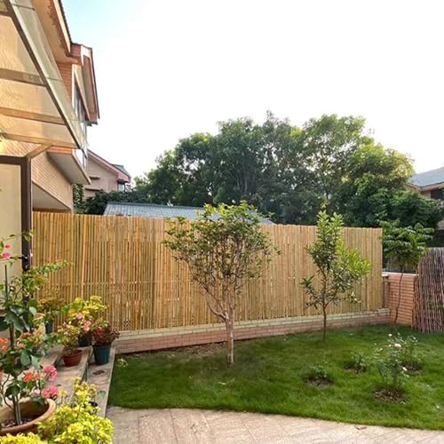 Bamboo Fencing Roll 6 ft High x 8 ft Long x 0.75 in D (48 Sq Ft)