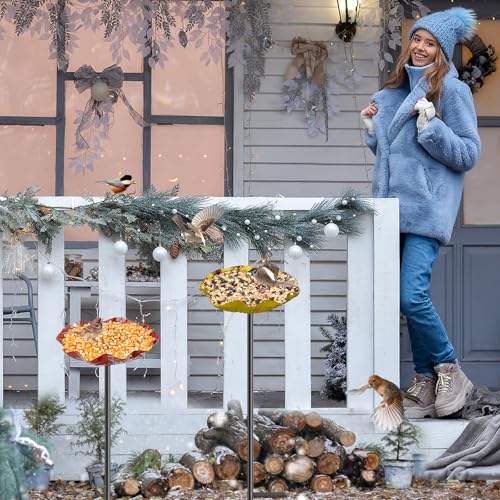 4PCS Hummingbird Bird Bath for Outside