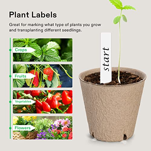 3.15“ Peat Pots (30 Count)