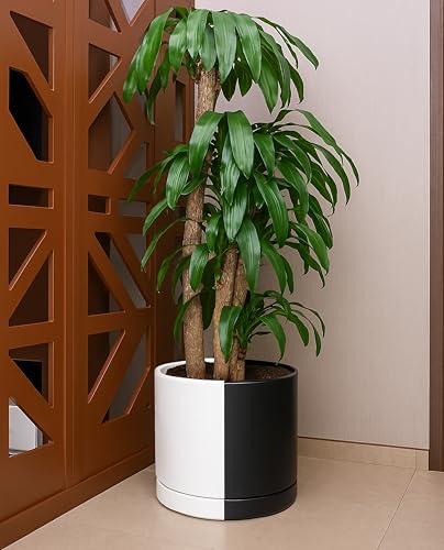 12 Inch Ceramic Planter Pot