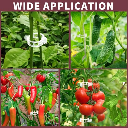 300 PCS Plant Support Clips