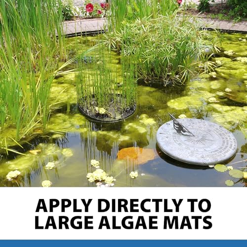 AlgaeOff String Algae Killer for Pond & Water Garden