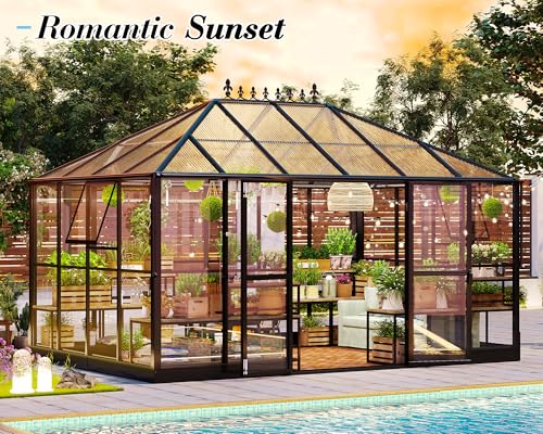 14x9.5x9 FT Outdoor Polycarbonate Greenhouse with Clear Panels