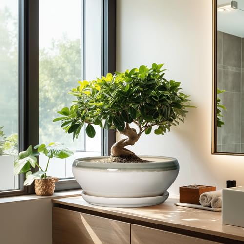 Large Succulent Planters (12 Inch / Grey-white)
