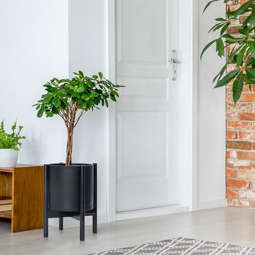 Plastic Pot with Ebony Wood Stand