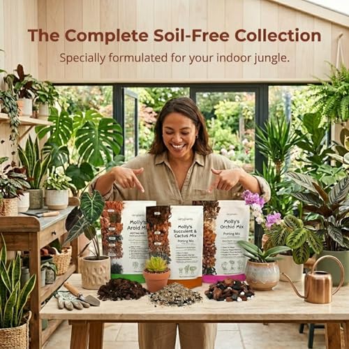Molly's Succulent Potting Mix