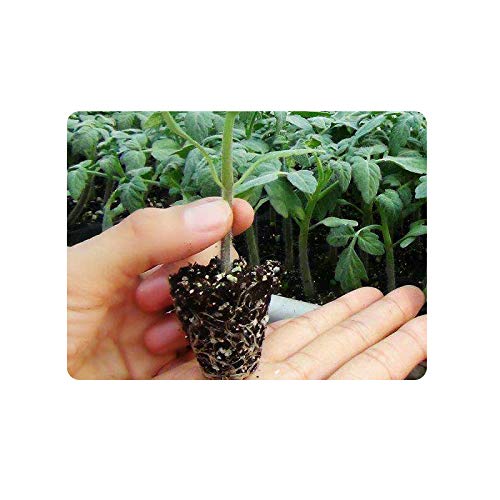 10 Pack 200 Cell Seed Starter Trays (10 Count)