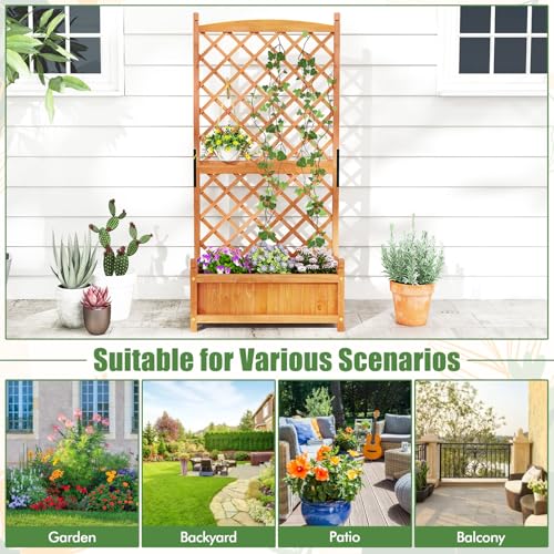 60β Raised Garden Bed with Trellis (28" x 13" x 60")