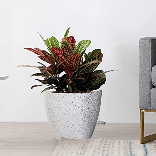 Large Self Watering Pots (3 Count)