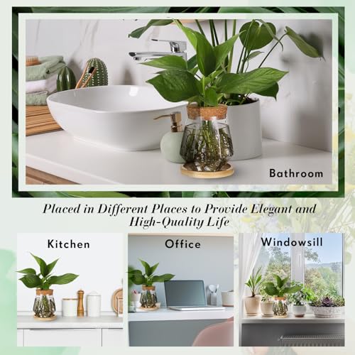 12 Pack Propagation Vases for Plants (Cup Style)
