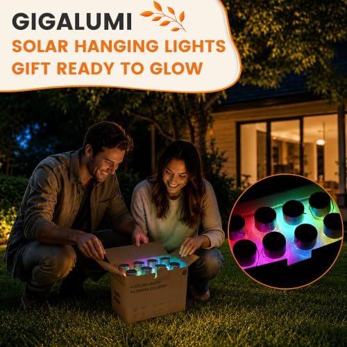 Solar Hanging Lights Outside Solar Christmas Decoration Light 12Pc (12 Count)