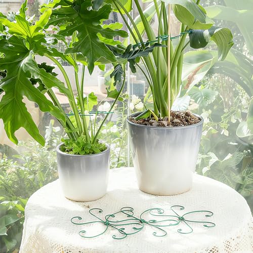 Green Monstera Plant Stem Support Set (Green / 7.5IN*7.5IN)