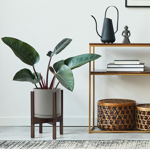 Ceramic Pot with Walnut Wood Stand