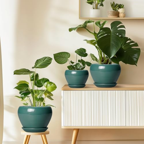 Ceramic Planter for Indoor Plants 10 Inch (10 Inch / Green)