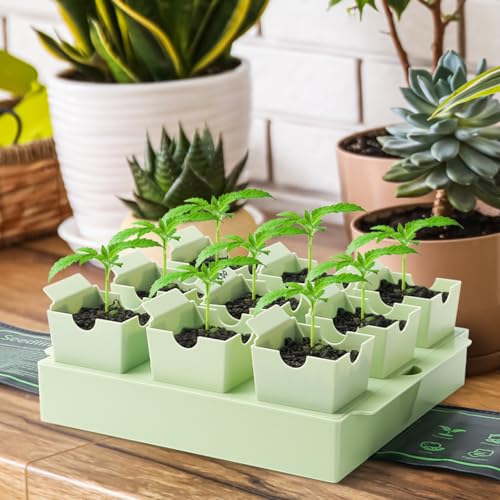 2 Pack Seed Starter Trays