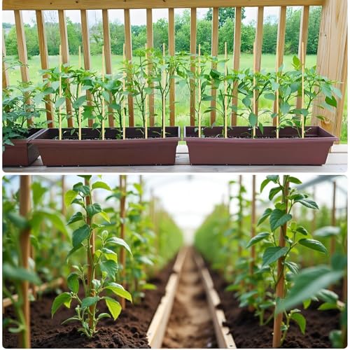 100 PCS 2FT Bamboo Plant Stakes (100 Count)