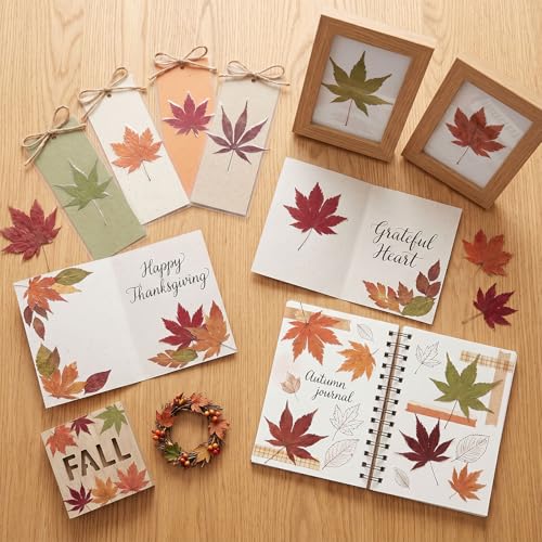 48 Pcs Dried Pressed Fall Maple Leaf for Cake Decorating (Maple Leaf)