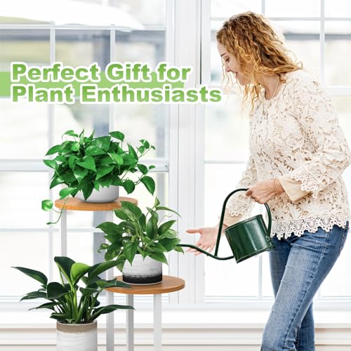 4 Tier Plant Stand Indoor Corner Tall Shelf for Multiple Plants (4 Shelves)