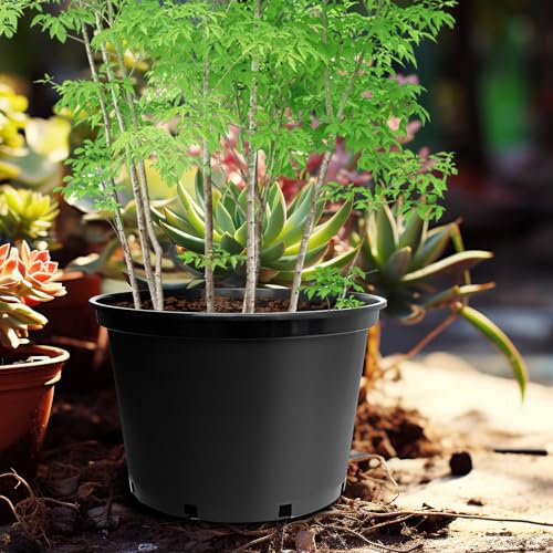 7 Gallon Plastic Nursery Pots (5 Count)