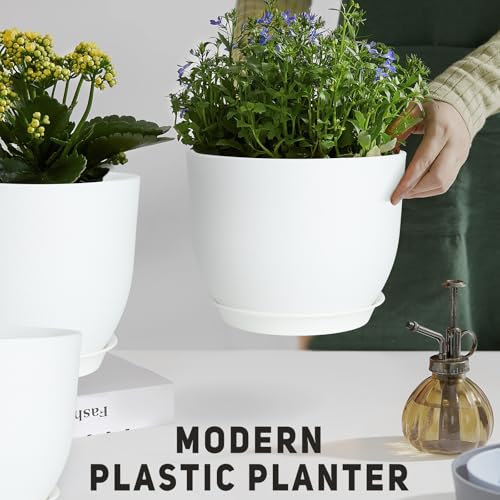 Plant Pots 10 (5 Count)