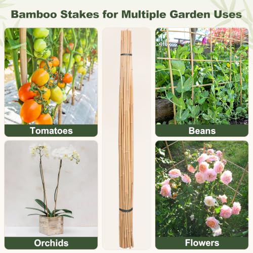 Natural Bamboo Poles (3FT-25PCS)