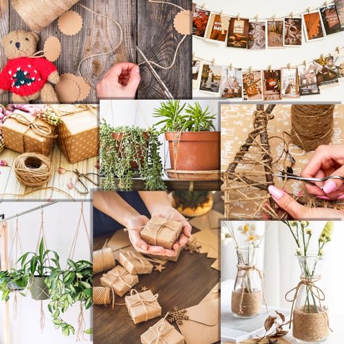 1200 Feet Natural Jute Twine Strong Garden Twine Rope for Arts Crafts Gift Wrapping Gardening Tomato Climbing Plant Tie Floristry Packing Decor (1200 Foot)