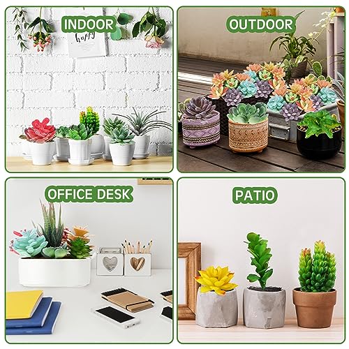 80 Pcs Artificial Plastic Succulents Assorted (80 Count)