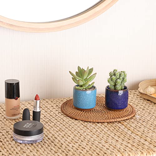 Mini Succulent Pots (12 Count)