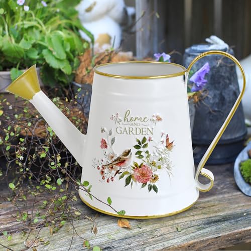 Cute Small Watering Can Indoor Plants Garden Metal Decorative Watering Cans for Outdoor Plants Bonsai Outdoor Garden Flower Decorative