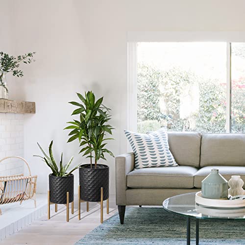 Planters for Indoor Plants (2 Count)
