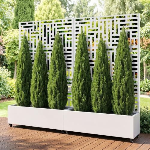 Metal Raised Garden Bed with Trellis